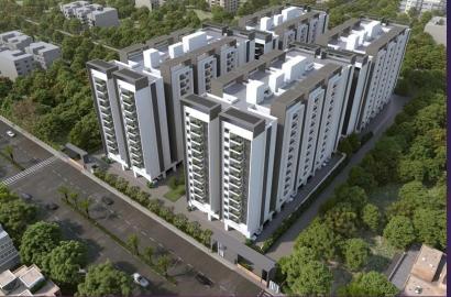 KMR Luxor Exclusives